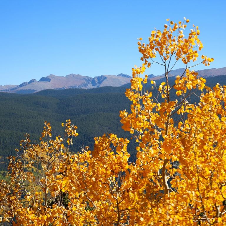 autumn